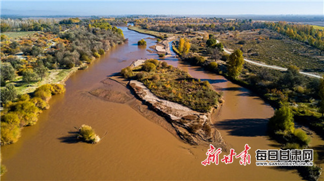 1585111200538035515.jpg 1585111200538035515.jpg