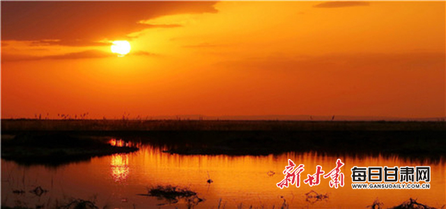 1585111276365090256.jpg 1585111276365090256.jpg