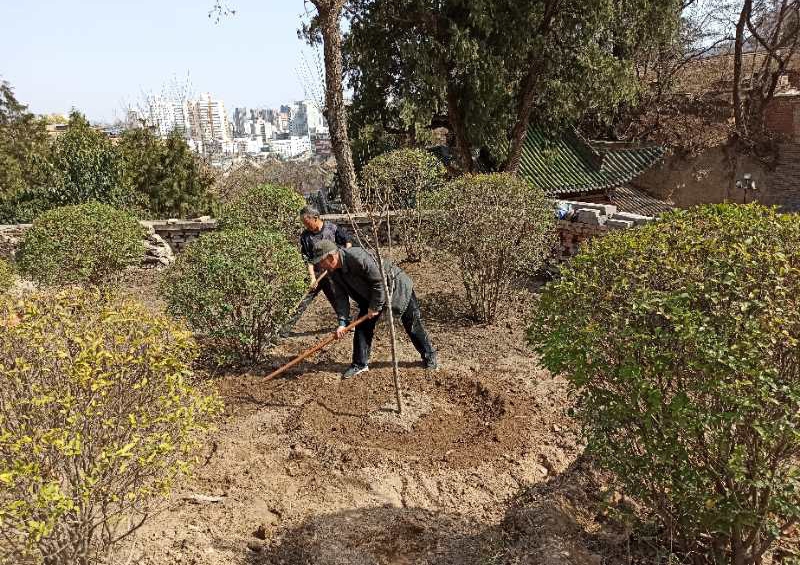 1586419053597840.jpg 圖片3.jpg