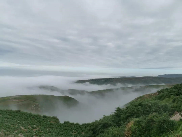 1589729558947301.jpg 3.jpg