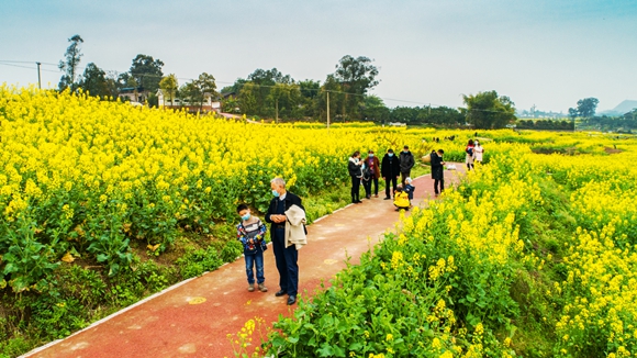 游客在花海里踏青。廖濤 攝 游客在花海里踏青。廖濤 攝