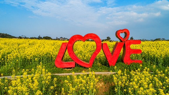 “love”創意拍照墻。廖濤 攝 “love”創意拍照墻。廖濤 攝