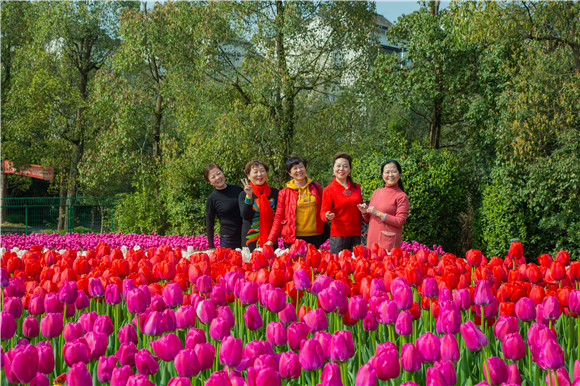 游客在郁金香花海里拍照打卡。羅云希 攝 游客在郁金香花海里拍照打卡。羅云希 攝