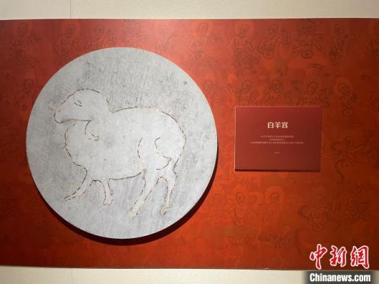 圖為展覽現場。 江楊燁 攝 圖為展覽現場。 江楊燁 攝