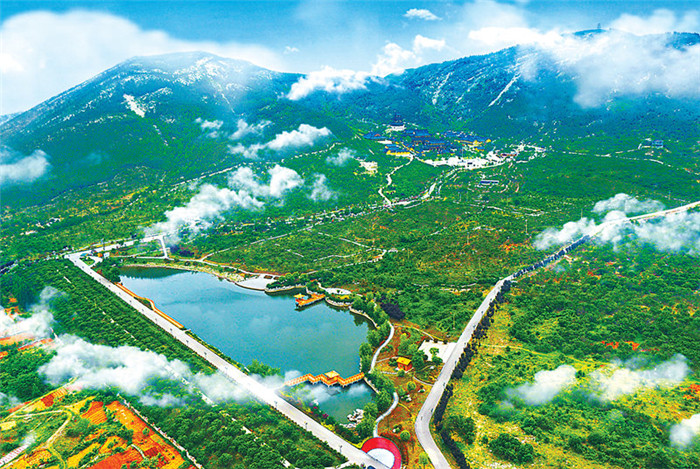 1650239446401780.jpg 2.jpg