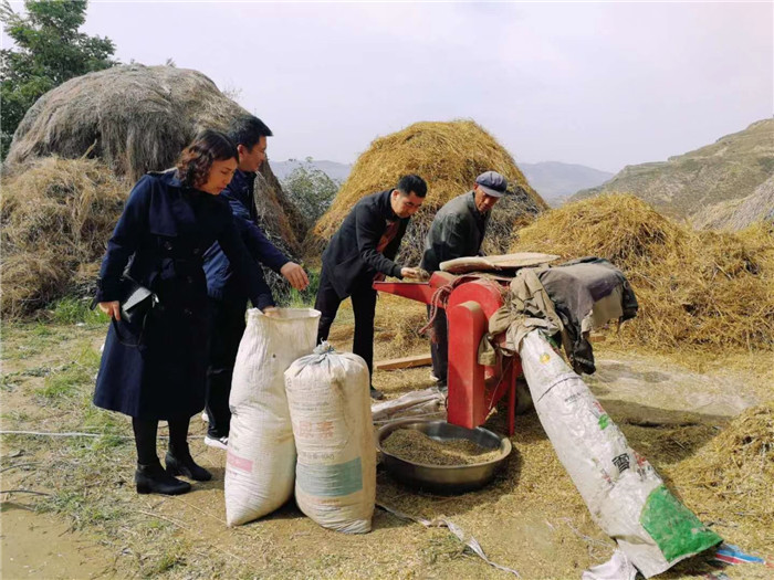 1652142543356372.jpg 1.jpg