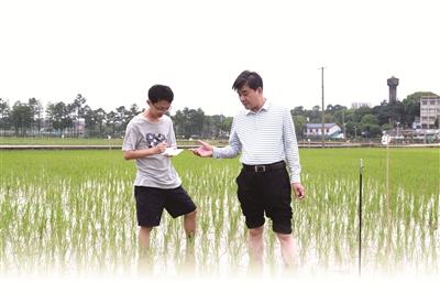 1660520357272823.jpg 2.jpg