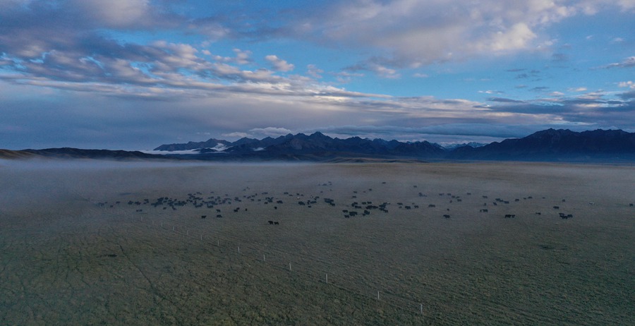 甘肅山丹馬場:峽谷云霧似仙境。 王超攝