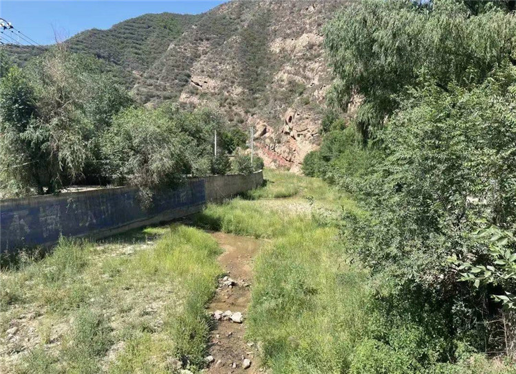 1668519594949118.jpg 6.jpg