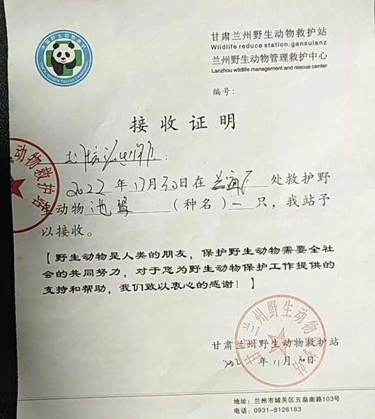 受到救助的池鷺被蘭州野生動物保護站接收。(蘭州市公安局七里河分局供圖)