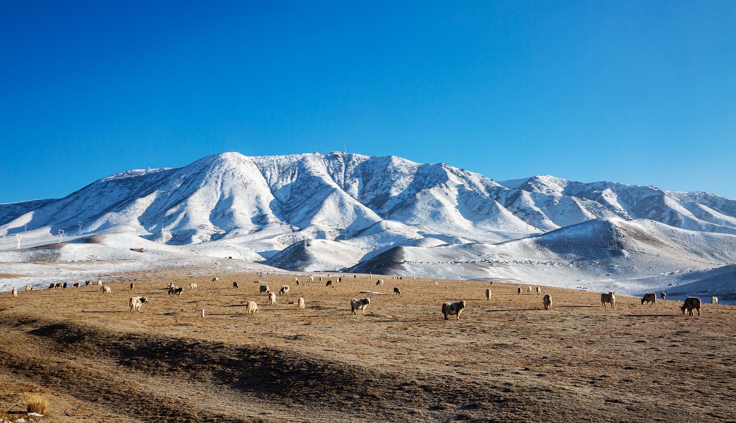 【輪播】武威天祝:祁連山烏鞘嶺段雪后初霽 靜美如畫_fororder_6