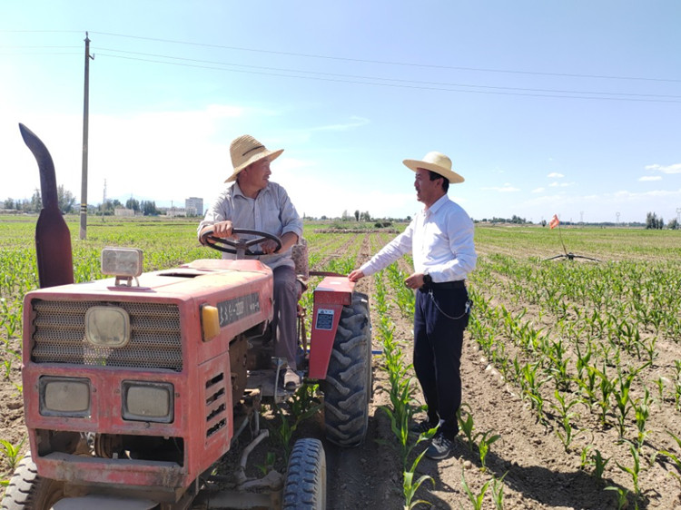 51212.jpg 甘州區明永鎮紀委工作人員與正在田間作業的農民群眾了解相關惠農政策落實情況。.jpg