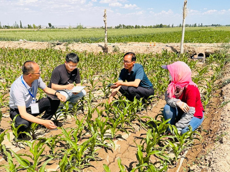 18632.jpg 高臺縣黑泉鎮紀委工作人員面對面征求農戶對玉米制種領域腐敗問題專項整治的意見建議。.jpg