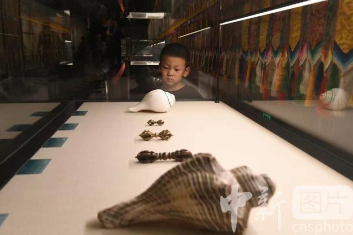 圖為展出的“白海螺法器”吸引小觀眾。 中新社記者 戴文昌 攝 圖為展出的“白海螺法器”吸引小觀眾。 中新社記者 戴文昌 攝