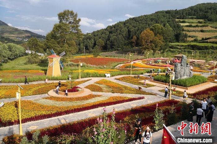 圖為航拍甘肅甘南臨潭縣八角鎮，花海吸引游人。(資料圖)高展 攝