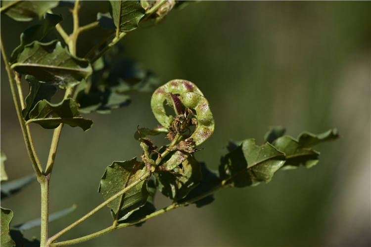 1706688102215174.jpg 2-18-2.jpg