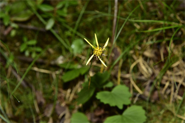 1710145853367094.jpg 12-2.jpg