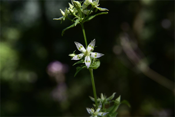 1710386523863810.jpg 21-2.jpg