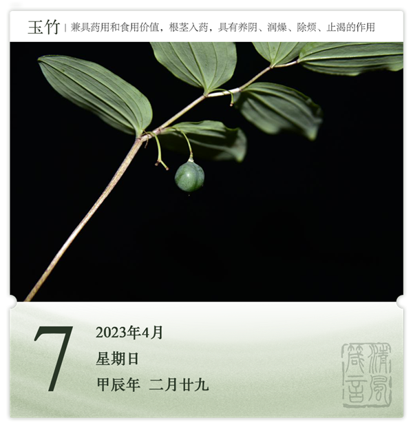 1712131566964415.png 箴歷日歷4-7.png