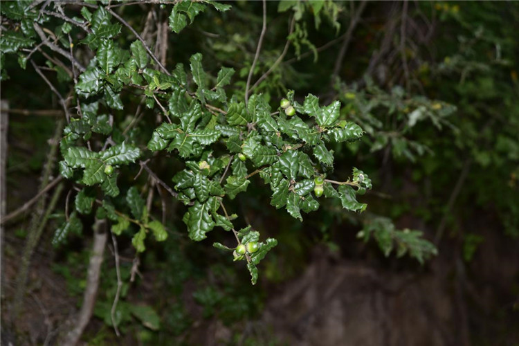 1712478787501256.jpg 9-2.jpg