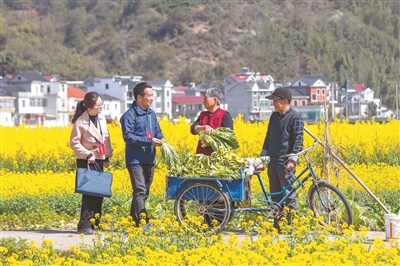 1712706150643806.jpg 44.jpg