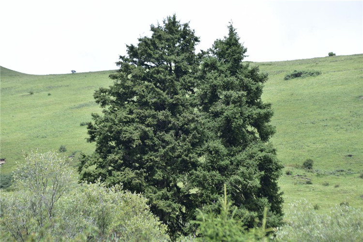 1713175283427781.jpg 16-2.jpg