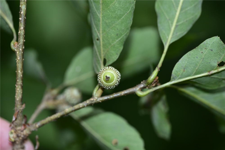 1713342096439429.jpg 19-2.jpg