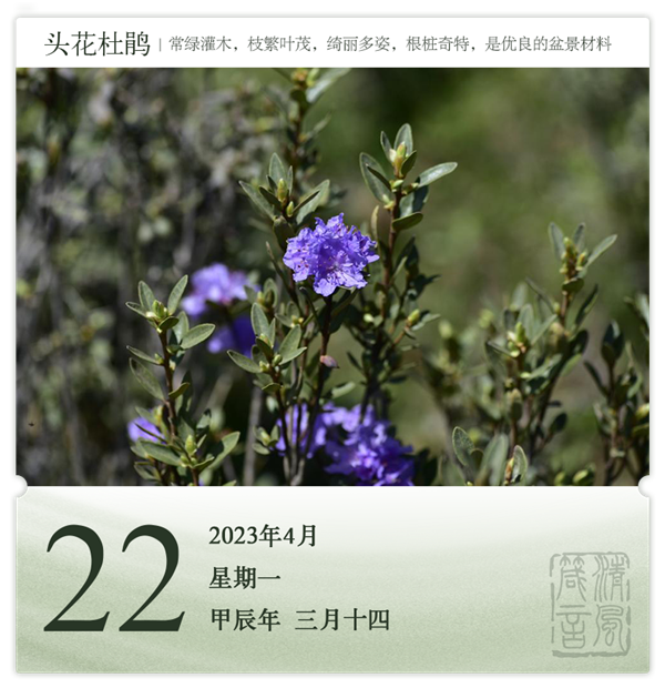 1713520326759373.png 箴歷日歷4-22.png