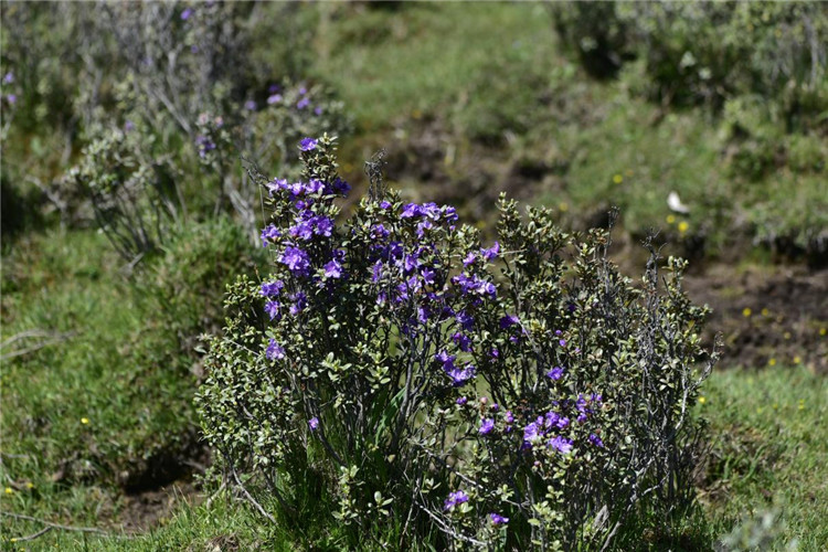 1713520418829969.jpg 22-2.jpg