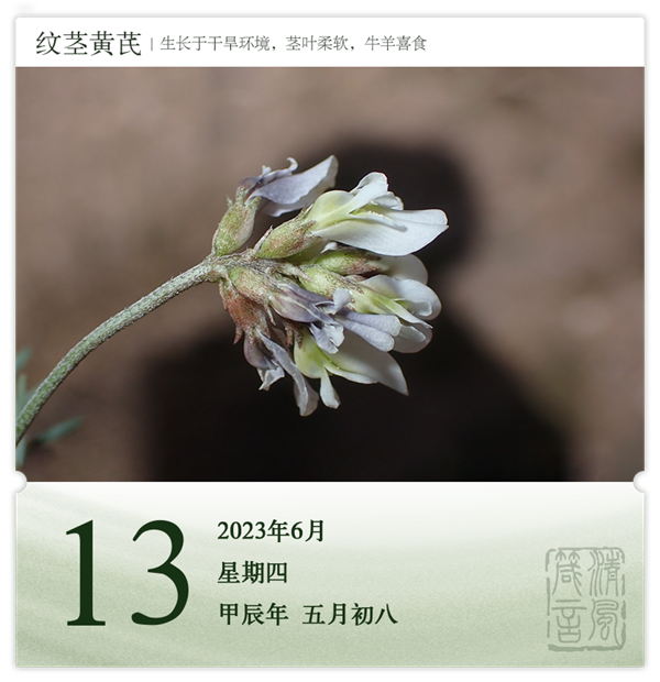 1717743471131742.png 箴歷日歷6-13.png