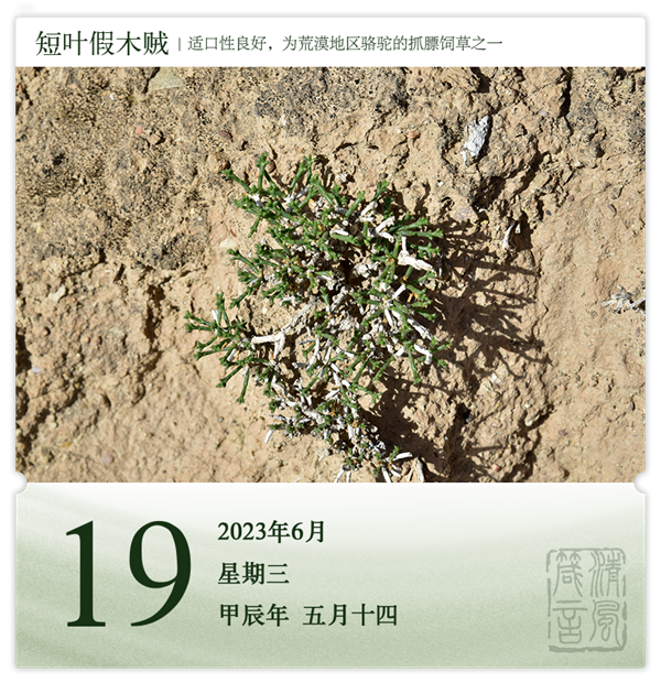 1717744592607121.png 箴歷日歷6-19.png