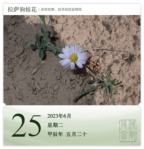 1718093214645863.png 箴歷日歷6-25.png