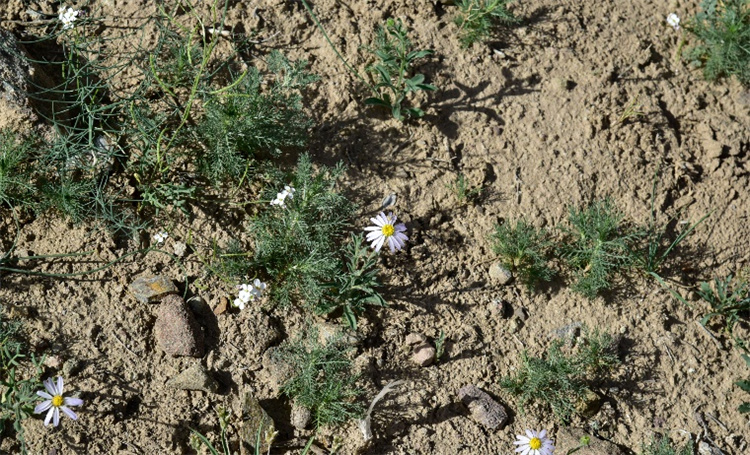 1718093205796893.jpg 25-2.jpg