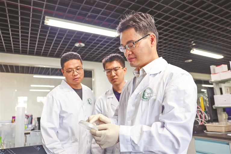 1719444485491999.jpg W020240627241552147299.jpg