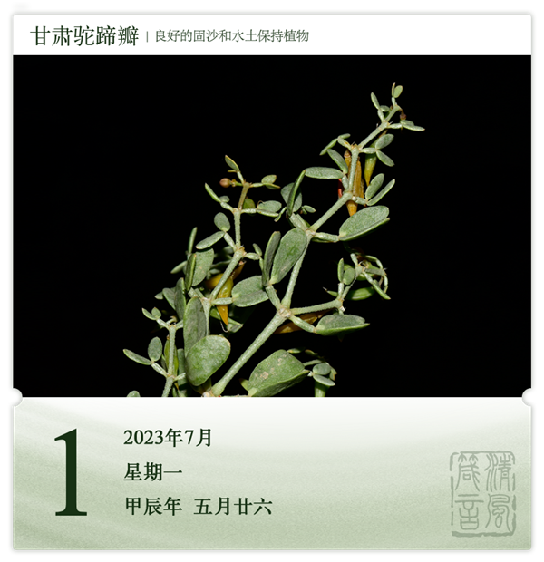 1719558744736680.png 箴歷日歷7-1.png