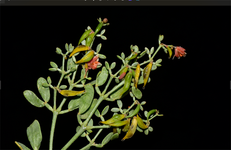 1719558758835531.png 1-2.png