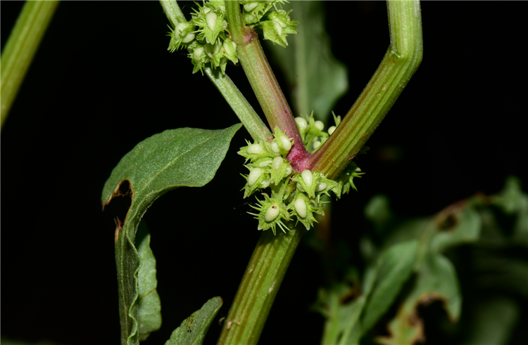 1720151086184605.png 8-2.png