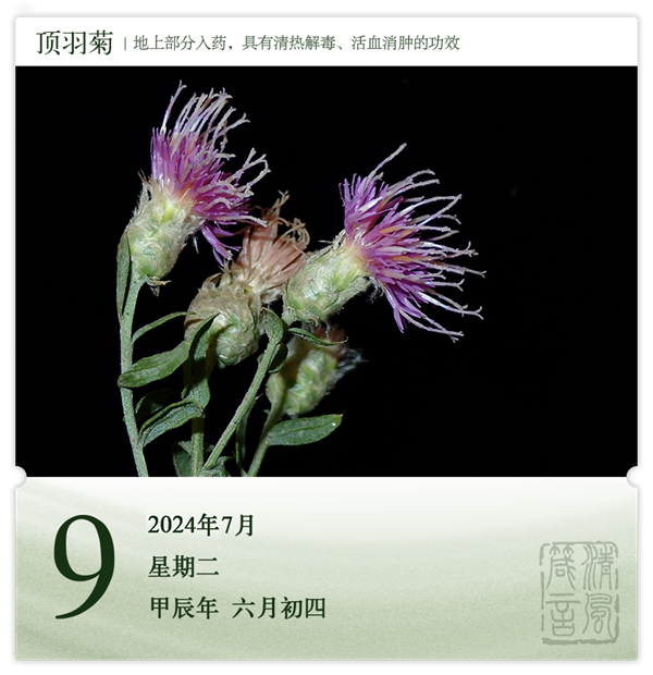 1720431899911816.png 箴歷日歷7-9.png