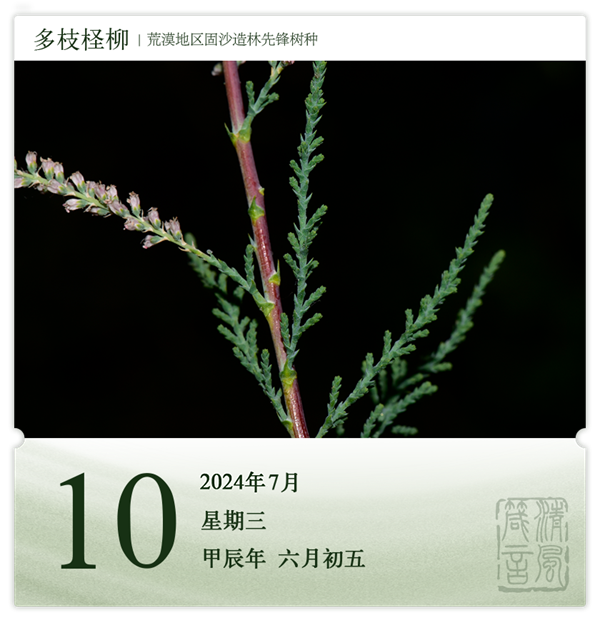 1720432130907178.png 箴歷日歷7-10.png