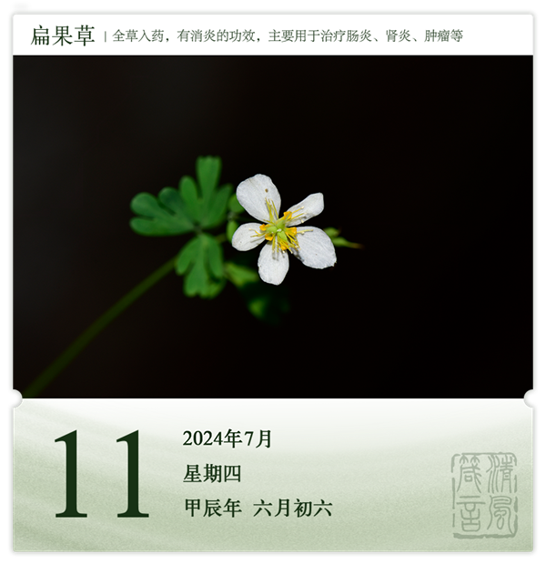 1720432334132956.png 箴歷日歷7-11.png