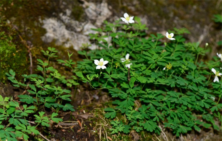 1720432395208246.jpg 11-2.jpg