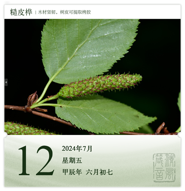 1720684775153305.png 箴歷日歷7-12.png