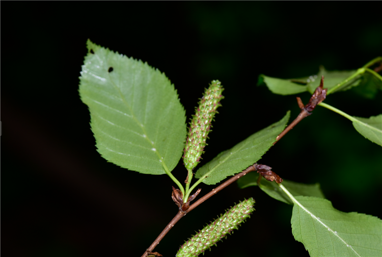 1720684823225143.png 12-2.png