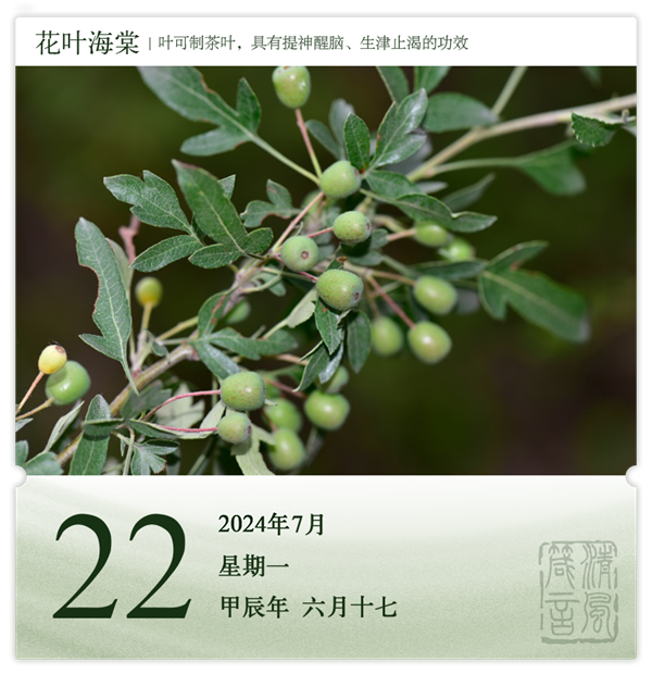 1721366898959402.png 箴歷日歷7-22.png