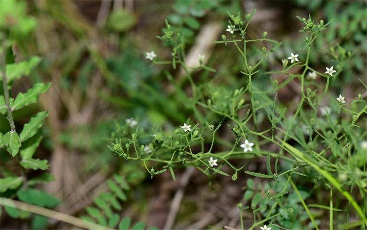 1721722035560793.jpg 25-2.jpg