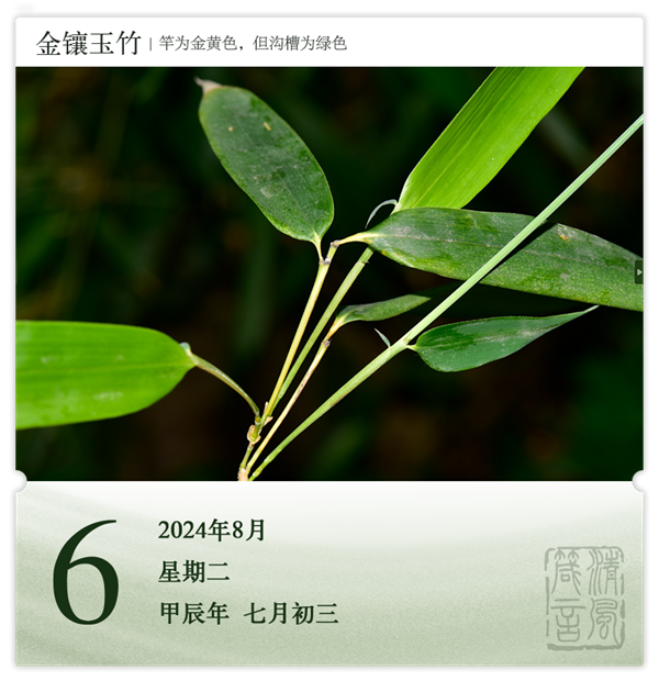 1722568468313213.png 箴歷日歷8-6.png