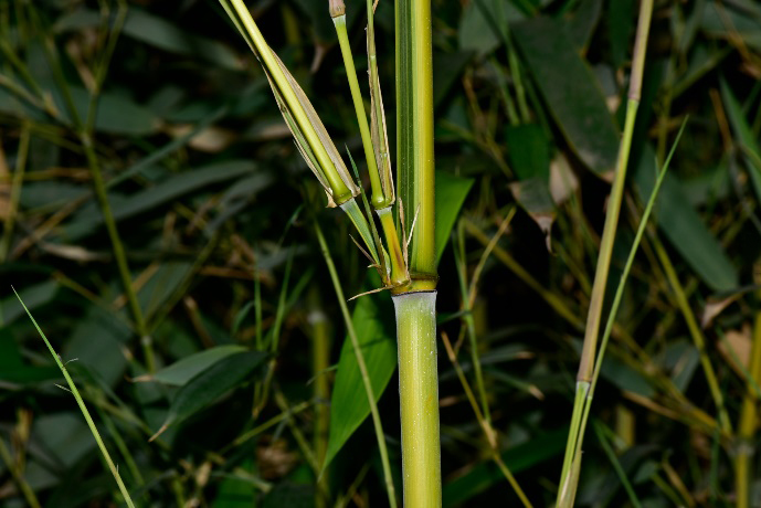 1722568495405038.jpg 6-2.jpg