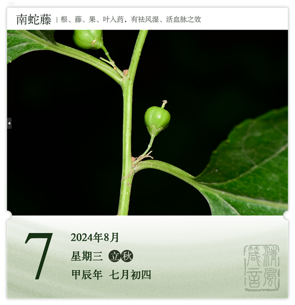 1722568598647774.png 箴歷日歷8-7.png