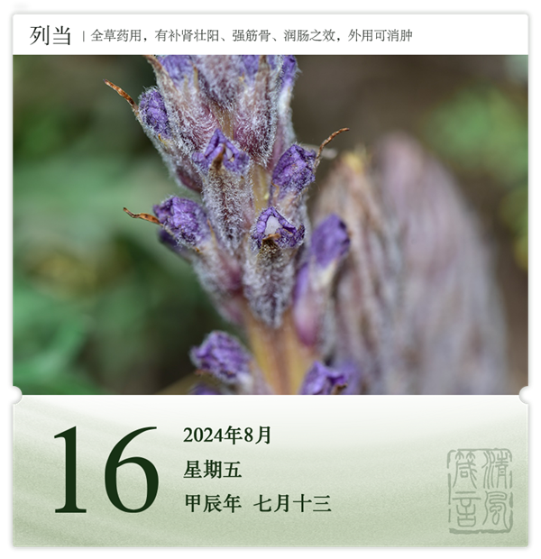 1722581233416733.png 箴歷日歷8-16.png