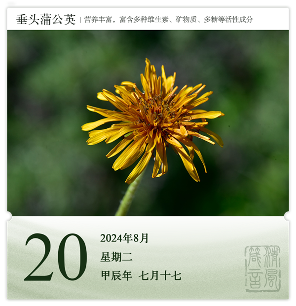 1722581643232967.png 箴歷日歷8-20.png